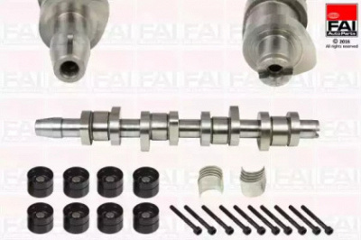 FAI AUTOPARTS csk315 -  Комплект распредвала